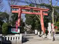 世田谷八幡宮の鳥居