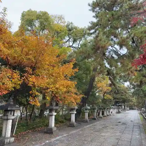 長浜八幡宮(滋賀県)