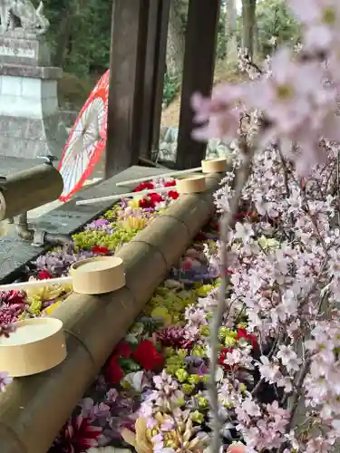 群馬県護国神社(群馬県)