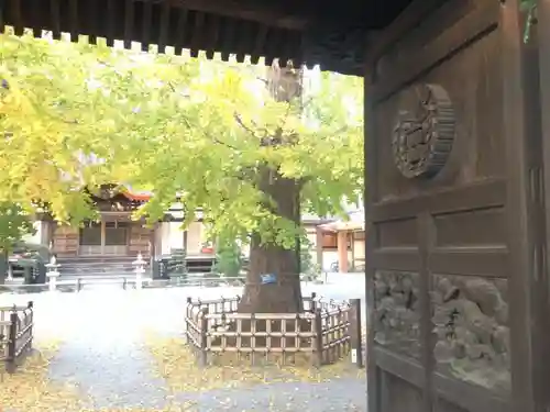 長念寺の山門・神門