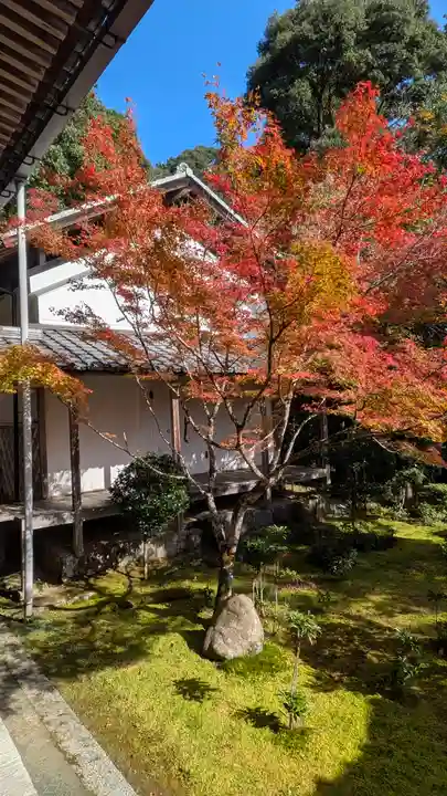 西明寺(京都府)