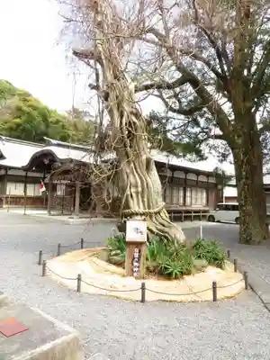 伊古奈比咩命神社のその他建物