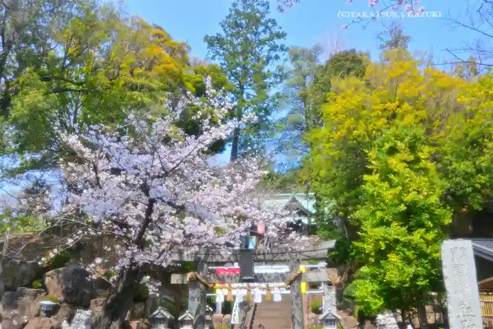 師岡熊野神社(神奈川県)