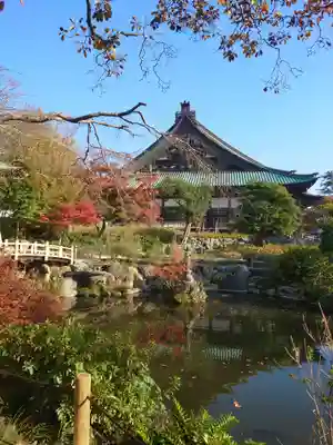 時宗総本山 遊行寺（正式：清浄光寺）(神奈川県)