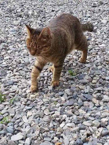 青猿神社(岩手県)