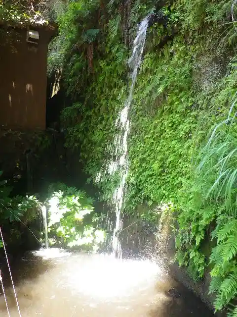 銭洗弁財天宇賀福神社の自然