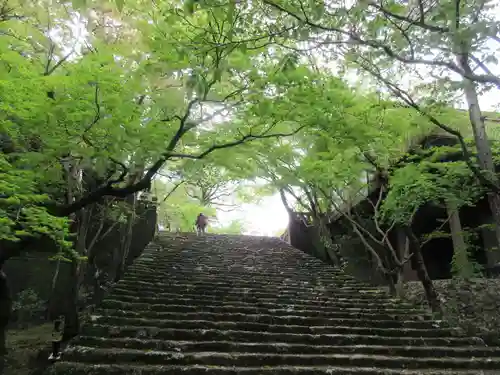 竹林寺(高知県)