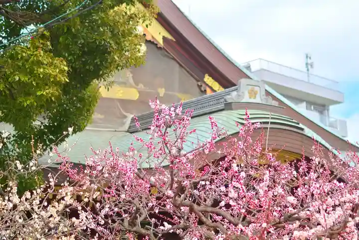 湯島天満宮(東京都)