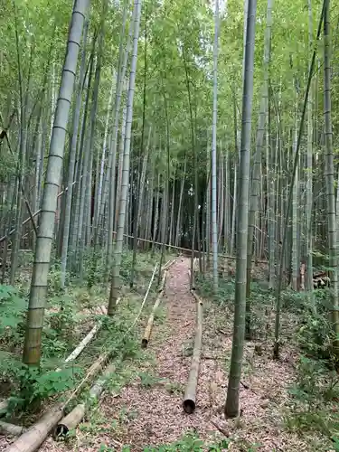 八幡神社(千葉県)