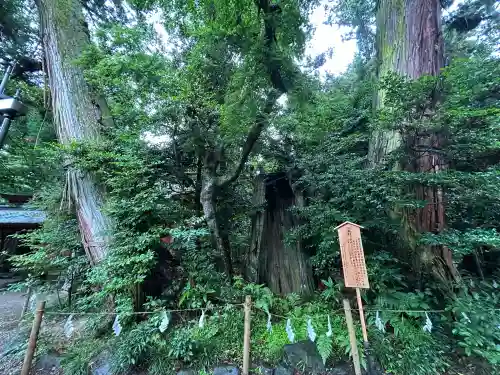 香取神宮(千葉県)