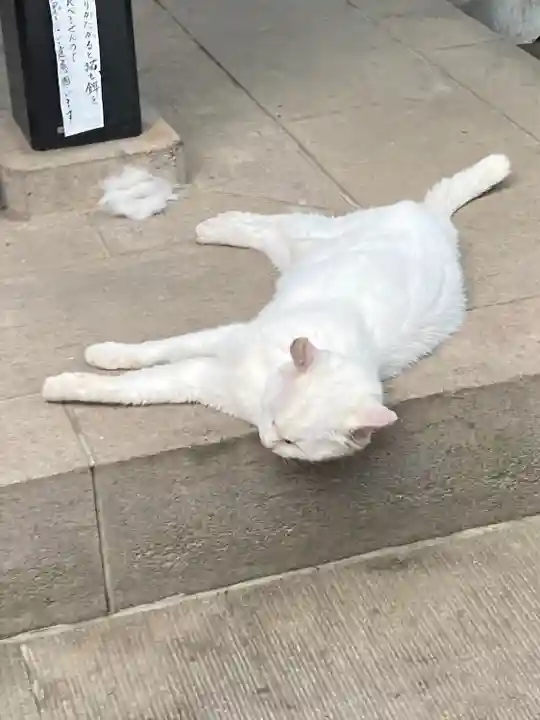 愛宕神社(東京都)