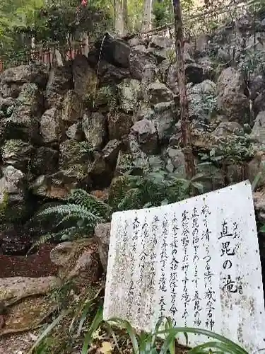 大矢田神社の自然