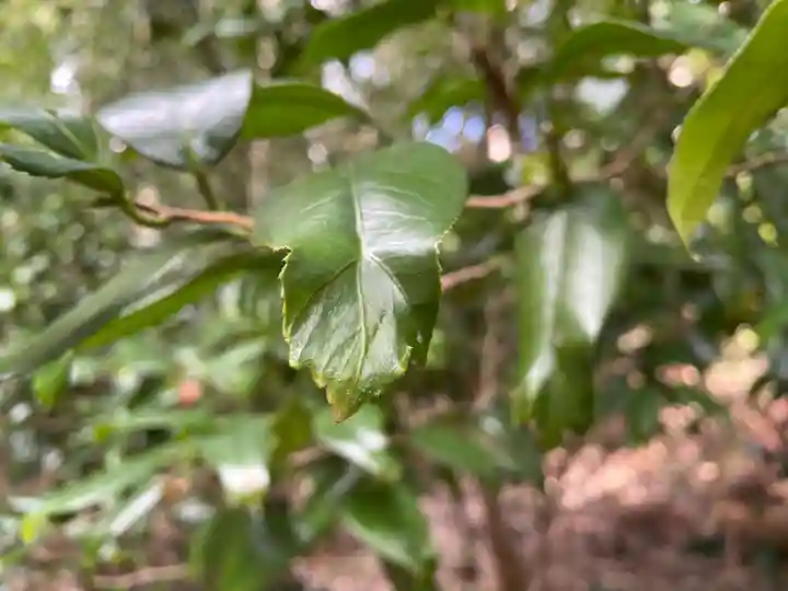 平岡八幡宮(京都府)