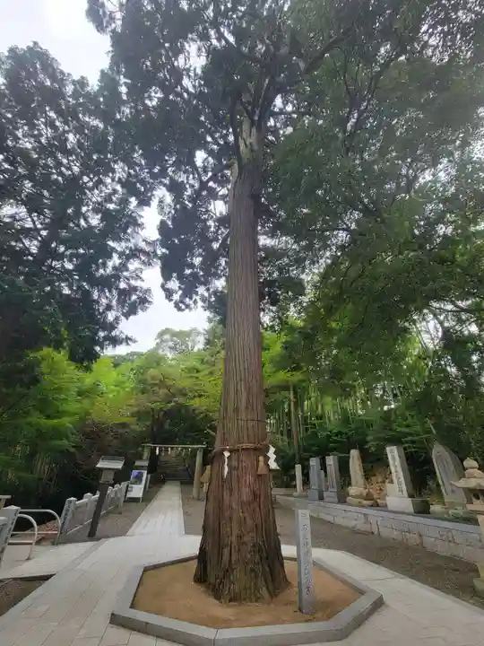 石鎚神社 口之宮 本社(愛媛県)