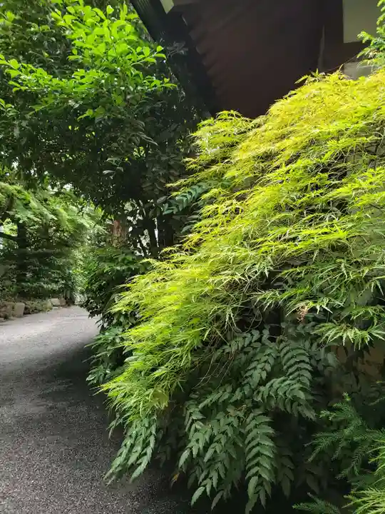 阿佐ヶ谷神明宮(東京都)
