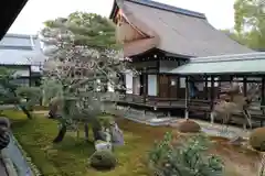 大覚寺の建物その他