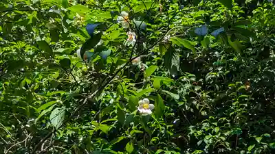 東林院(京都府)