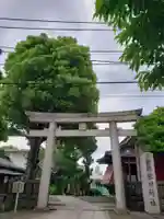 麻布氷川神社(東京都)
