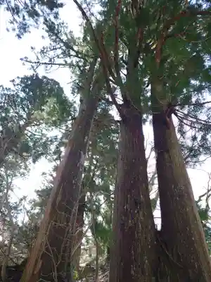 大神山神社奥宮(鳥取県)