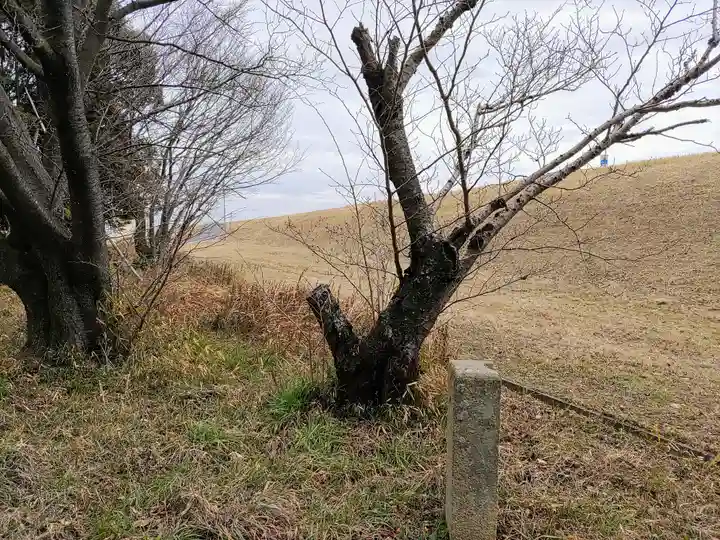 春日神社の周辺