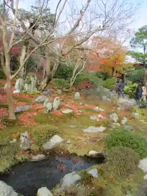 天龍寺の庭園