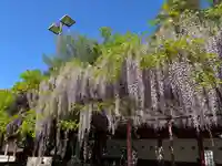 笠間稲荷神社(茨城県)