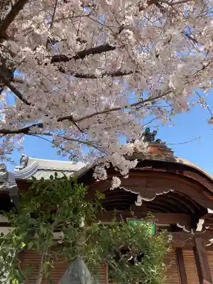 真福寺大日堂の本殿・本堂