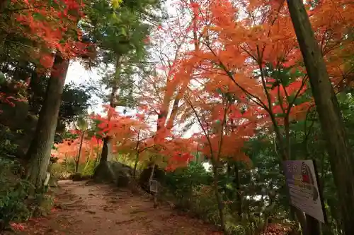 石都々古和気神社の自然