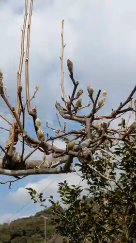 惠心院（恵心院）(京都府)