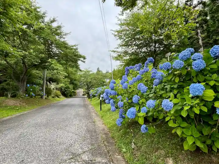 黄金寺(宮城県)