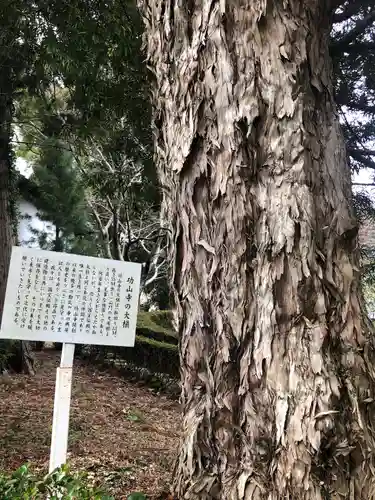 功山寺(山口県)