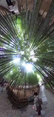 報国寺(神奈川県)