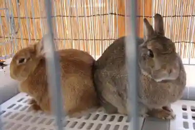 太子堂八幡神社(東京都)