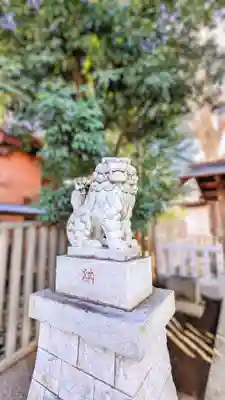 滝野川八幡神社の狛犬