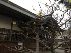 御所神社(徳島県)