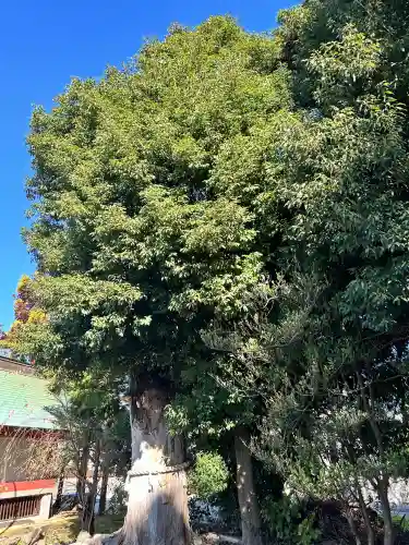鹿嶋神社(茨城県)