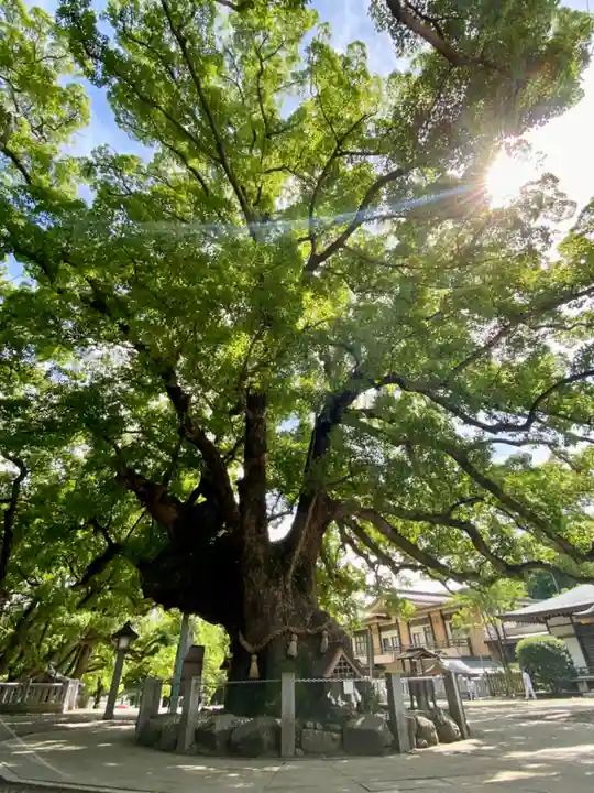 大麻比古神社の自然