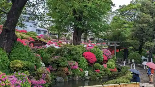 根津神社(東京都)