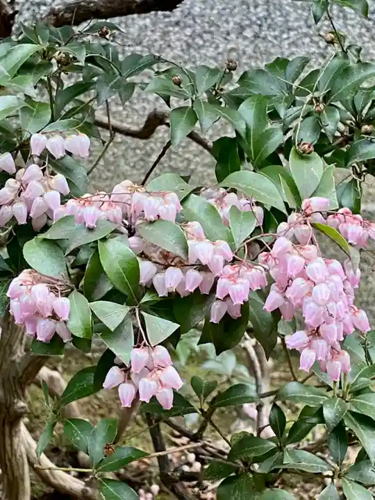 極楽寺(京都府)