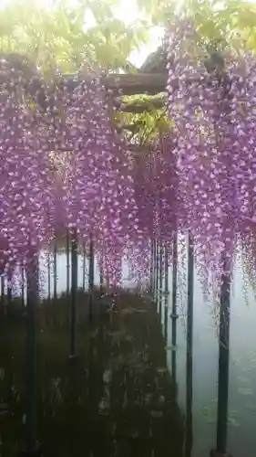 秋葉神社(愛知県)