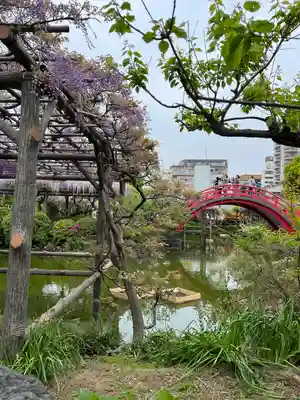 亀戸天神社(東京都)