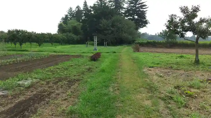 鹿島神社の周辺