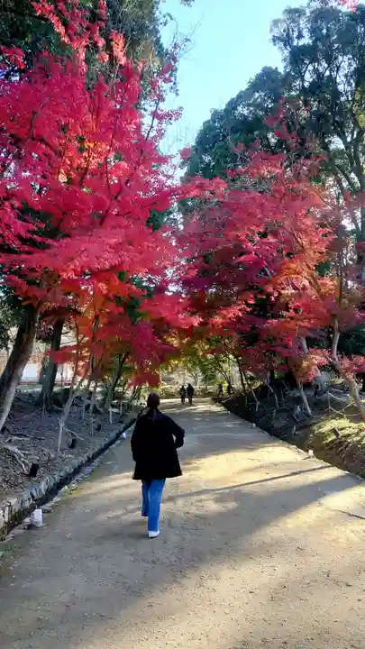 醍醐寺(京都府)