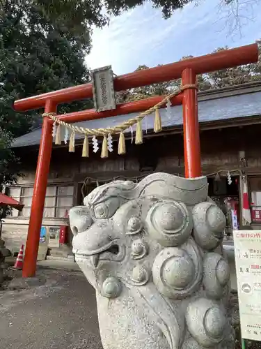 賀茂神社の狛犬