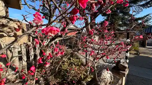 菅原天満宮（菅原神社）(奈良県)