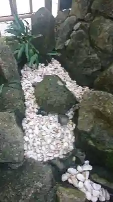 大宮八幡宮のその他建物