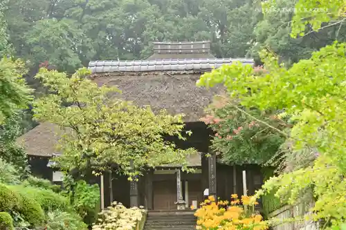 横浜　西方寺の本殿・本堂
