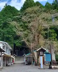 秋葉山本宮 秋葉神社 下社の周辺