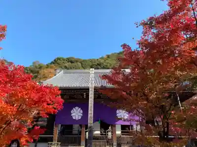 禅林寺（永観堂）の本殿・本堂