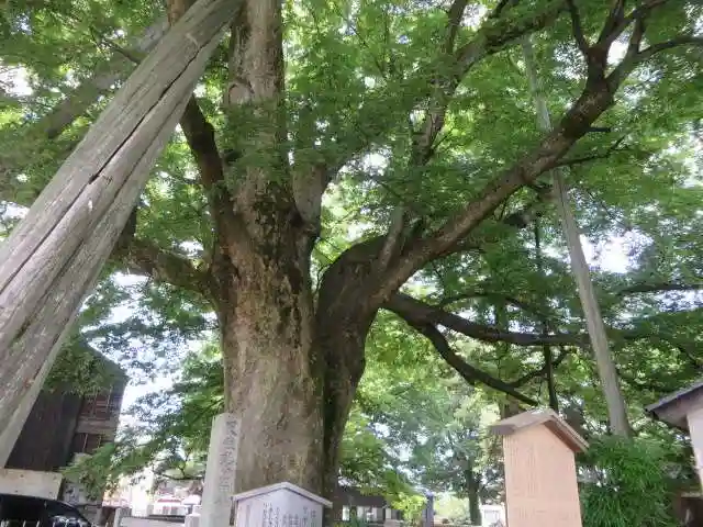 神明宮(石川県)